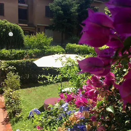 Alloro Marino