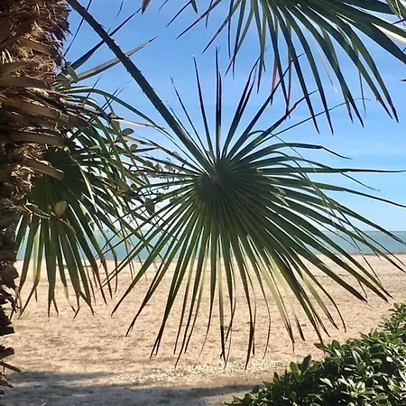 Alloro Marino ベッド・アンド・ブレックファスト チヴィタノーヴァ・マルケ