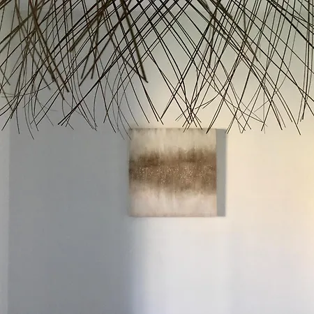 Alloro Marino Bed & Breakfast Civitanova Marche