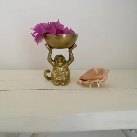 Alloro Marino ベッド・アンド・ブレックファスト チヴィタノーヴァ・マルケ