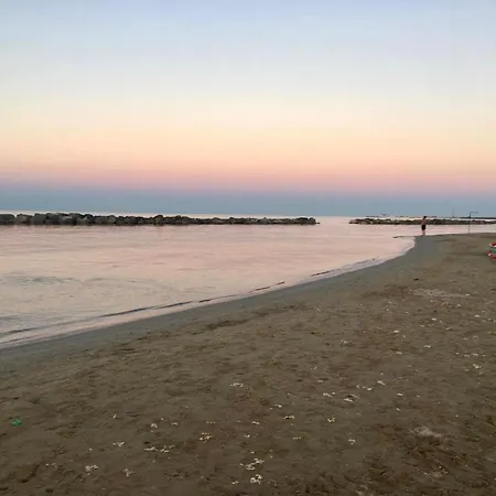Alloro Marino