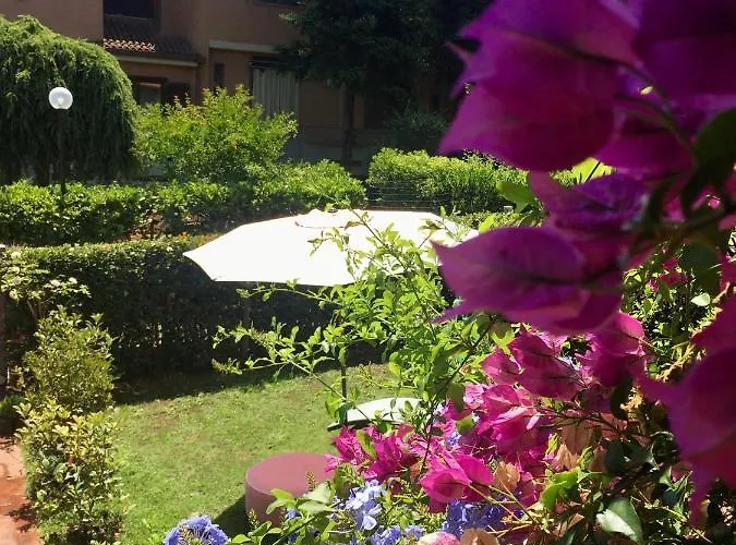 Alloro Marino