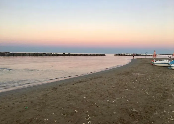 Alloro Marino